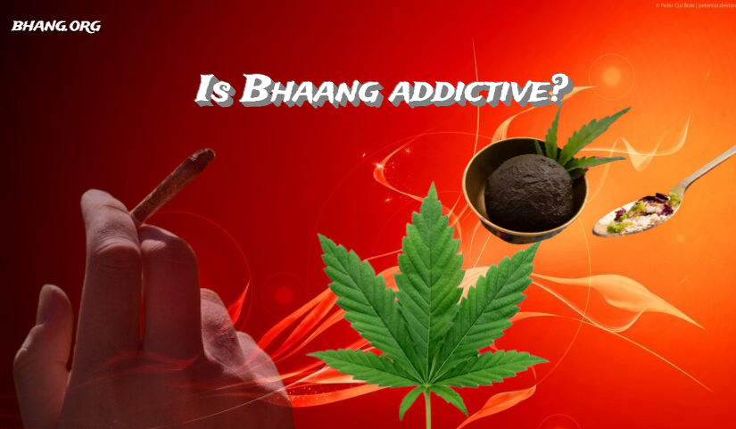 Is Bhaang addictive