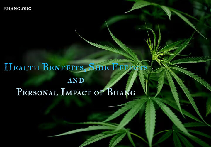 What Does Bhang do to a Person: Health Benefits, Side Effects, and Personal Impact of Bhang