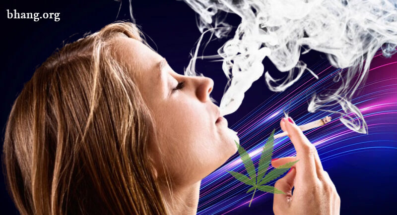 What is Bhang and Disadvantages of Bhang