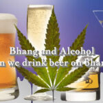 Bhang and Alcohol: Can we drink beer on bhang?