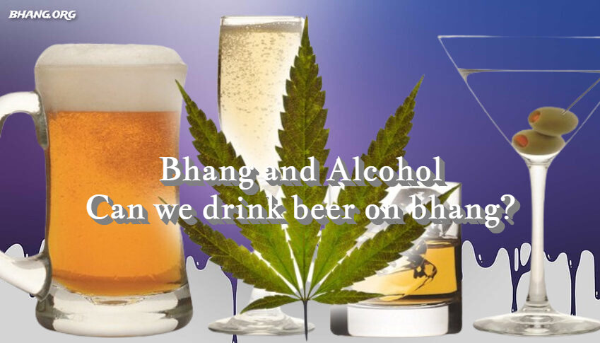 Bhang and Alcohol: Can we drink beer on bhang?
