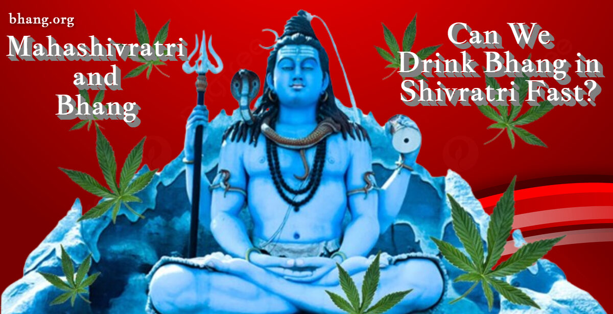 Mahashivratri and Bhang: Can we drink bhang in Shivratri fast?