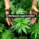 Is Marijuana Legal in India?